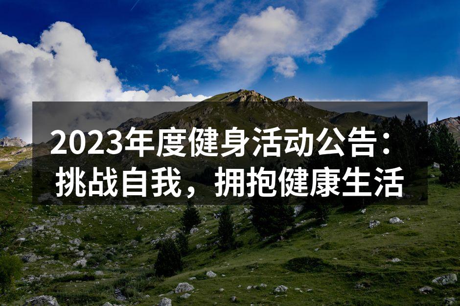 参与者在户外健身