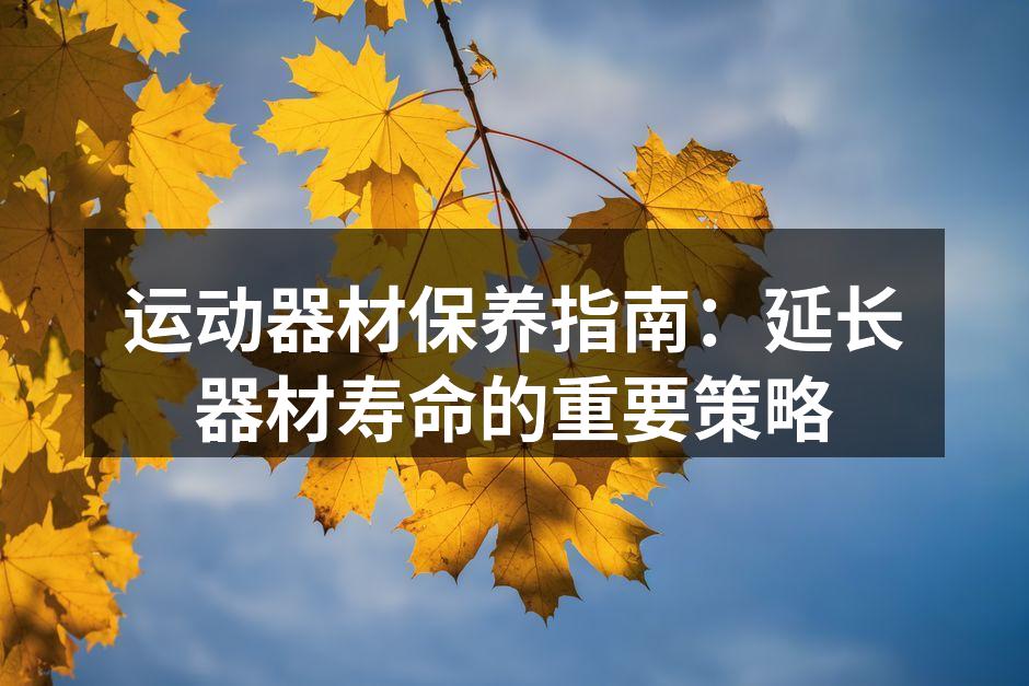 定期清洁运动器材确保安全