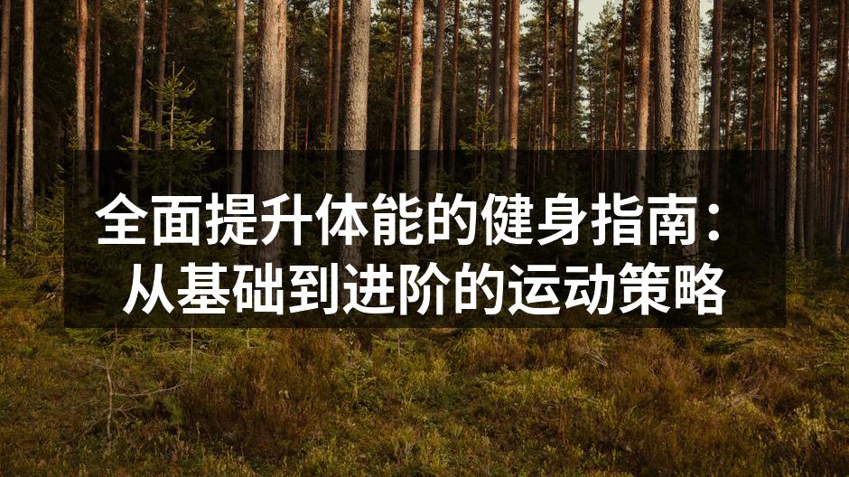 基础训练，增强核心力量