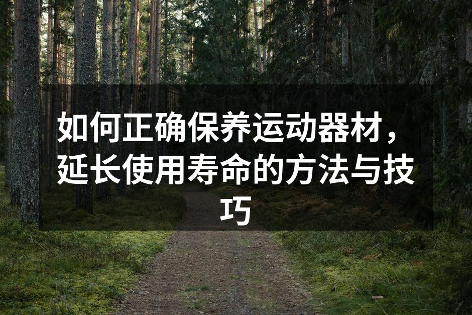 定期保养运动器材，确保安全与性能